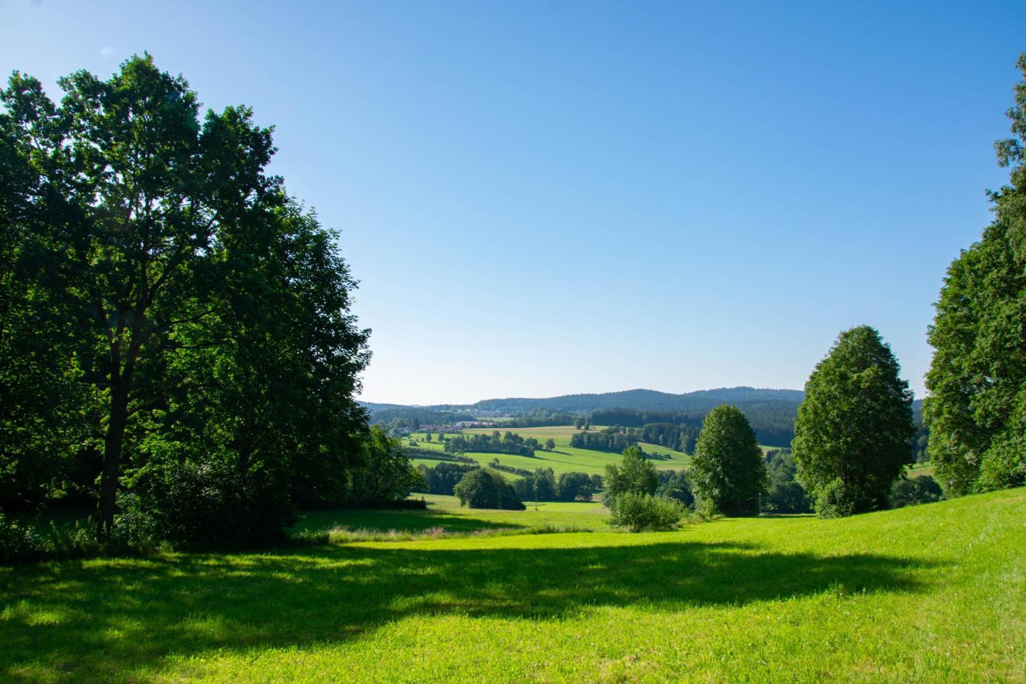 Naturchalets 7 Sentidos Bischofsmais Bagian luar foto